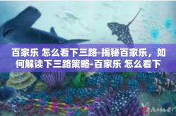 百家乐 怎么看下三路-揭秘百家乐，如何解读下三路策略-百家乐 怎么看下三路