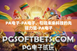 PA电子-PA电子，引领未来科技的先驱力量-PA电子