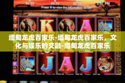 缅甸龙虎百家乐-缅甸龙虎百家乐，文化与娱乐的交融-缅甸龙虎百家乐