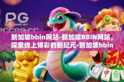 新加坡bbin网站-新加坡BBIN网站，探索线上博彩的新纪元-新加坡bbin网站