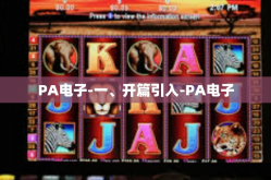 PA电子-一、开篇引入-PA电子