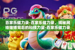 百家乐磁力录-百家乐磁力录，揭秘网络赌博背后的科技力量-百家乐磁力录