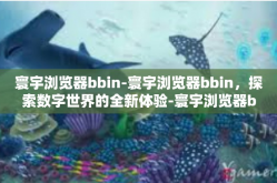 寰宇浏览器bbin-寰宇浏览器bbin，探索数字世界的全新体验-寰宇浏览器bbin