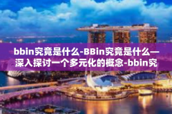 bbin究竟是什么-BBin究竟是什么—深入探讨一个多元化的概念-bbin究竟是什么