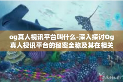 og真人视讯平台叫什么-深入探讨Og真人视讯平台的秘密全称及其在相关行业中的角色和影响-og真人视讯平台叫什么