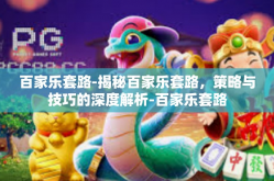百家乐套路-揭秘百家乐套路，策略与技巧的深度解析-百家乐套路