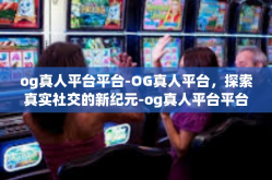 og真人平台平台-OG真人平台，探索真实社交的新纪元-og真人平台平台