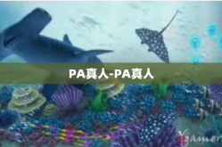 PA真人-PA真人