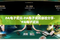 PA电子试玩-PA电子试玩体验分享-PA电子试玩