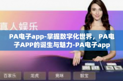PA电子app-掌握数字化世界，PA电子APP的诞生与魅力-PA电子app