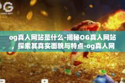 og真人网站是什么-揭秘OG真人网站，探索其真实面貌与特点-og真人网站是什么