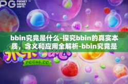 bbin究竟是什么-探究bbin的真实本质，含义和应用全解析-bbin究竟是什么
