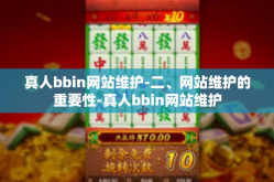 真人bbin网站维护-二、网站维护的重要性-真人bbin网站维护
