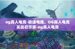 og真人电竞-极速电魂，OG真人电竞实战启示录-og真人电竞