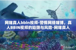 网赌真人bbin视频-警惕网络赌博，真人BBIN视频的陷阱与风险-网赌真人bbin视频