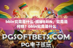 bbin究竟是什么-揭秘BBIN，究竟是何物？bbin究竟是什么