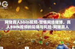 网赌真人bbin视频-警惕网络赌博，真人BBIN视频的陷阱与风险-网赌真人bbin视频