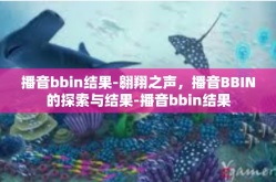 播音bbin结果-翱翔之声，播音BBIN的探索与结果-播音bbin结果