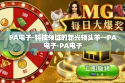 PA电子-科技领域的新兴领头羊—PA电子-PA电子