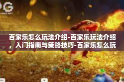 百家乐怎么玩法介绍-百家乐玩法介绍，入门指南与策略技巧-百家乐怎么玩法介绍