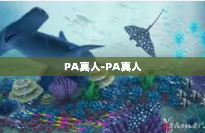 PA真人-PA真人