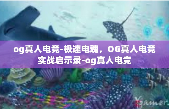 og真人电竞-极速电魂，OG真人电竞实战启示录-og真人电竞