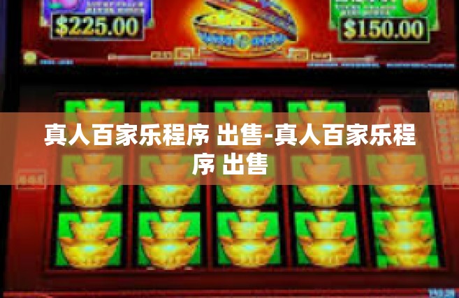 真人百家乐程序 出售-真人百家乐程序 出售