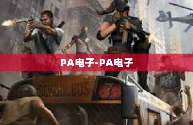PA电子-PA电子