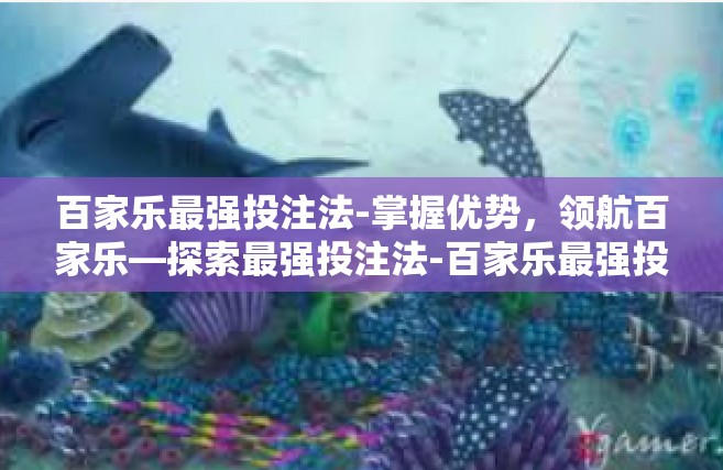 百家乐最强投注法-掌握优势，领航百家乐—探索最强投注法-百家乐最强投注法