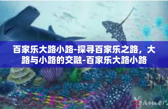 百家乐大路小路-探寻百家乐之路，大路与小路的交融-百家乐大路小路