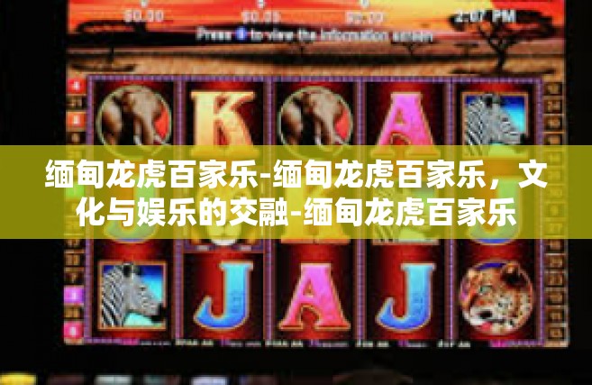 缅甸龙虎百家乐-缅甸龙虎百家乐，文化与娱乐的交融-缅甸龙虎百家乐