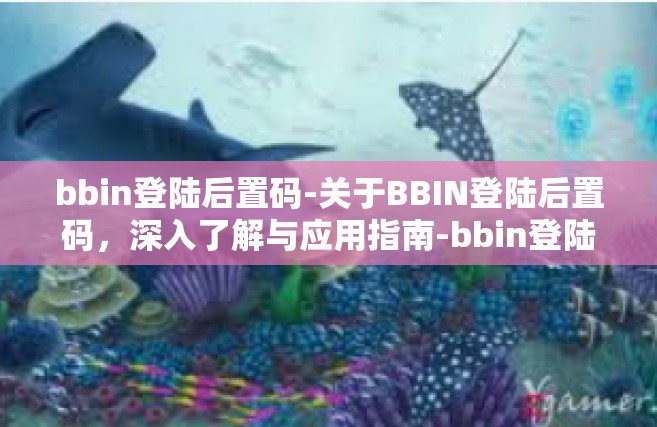bbin登陆后置码-关于BBIN登陆后置码，深入了解与应用指南-bbin登陆后置码
