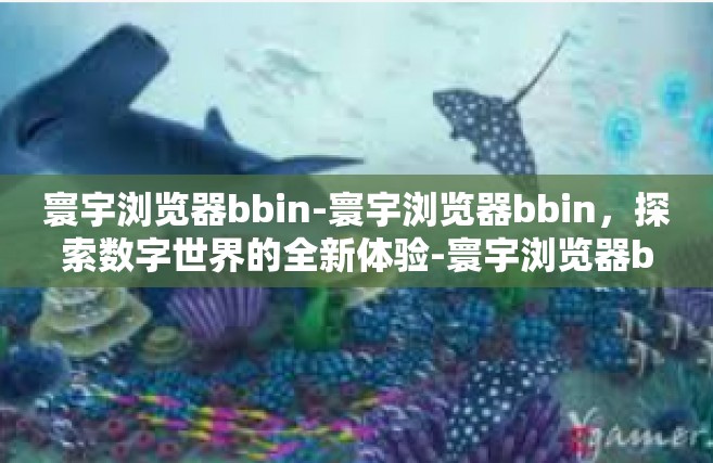 寰宇浏览器bbin-寰宇浏览器bbin，探索数字世界的全新体验-寰宇浏览器bbin