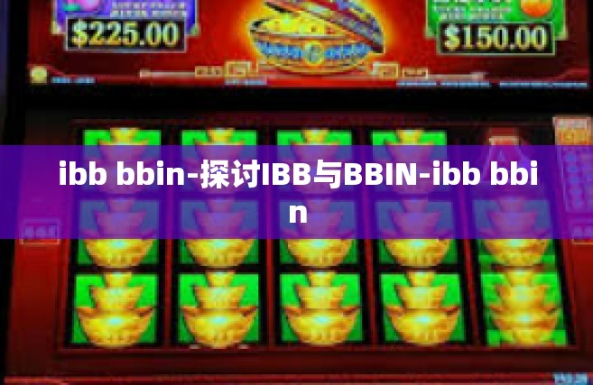 ibb bbin-探讨IBB与BBIN-ibb bbin