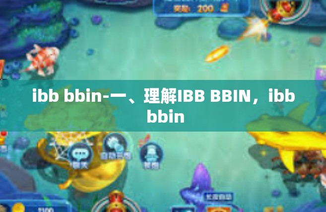 ibb bbin-一、理解IBB BBIN，ibb bbin