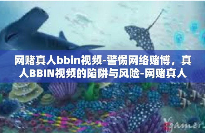 网赌真人bbin视频-警惕网络赌博，真人BBIN视频的陷阱与风险-网赌真人bbin视频