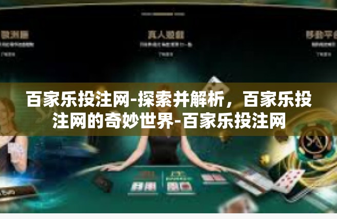 百家乐投注网-探索并解析，百家乐投注网的奇妙世界-百家乐投注网
